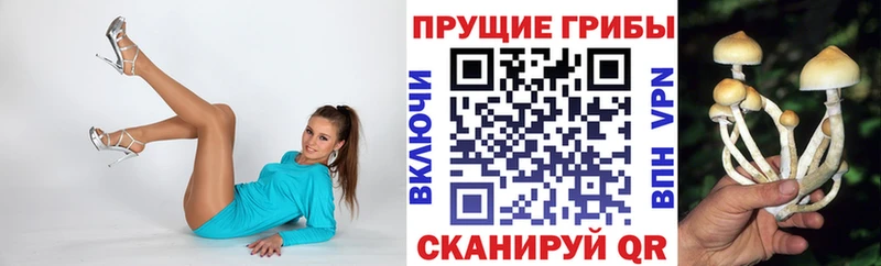 Галлюциногенные грибы прущие грибы  Нижнеудинск 