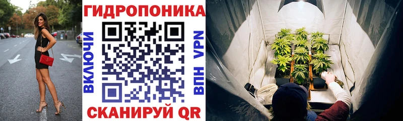 купить наркотик  Нижнеудинск  Марихуана индика 